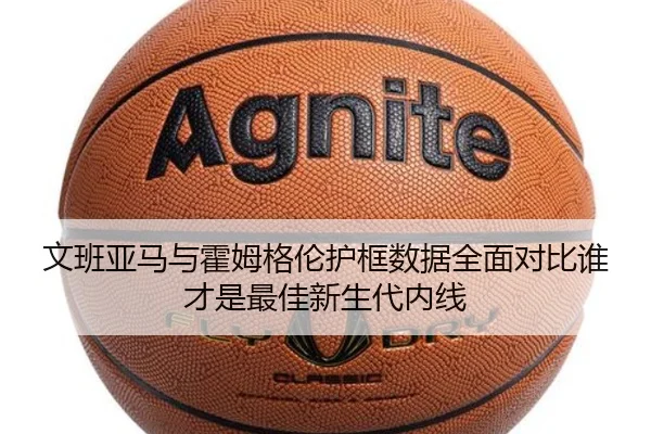 文班亚马与霍姆格伦护框数据全面对比谁才是最佳新生代内线