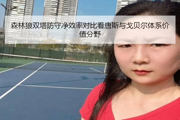 森林狼双塔防守净效率对比看唐斯与戈贝尔体系价值分野