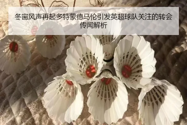 冬窗风声再起多特蒙德马伦引发英超球队关注的转会传闻解析