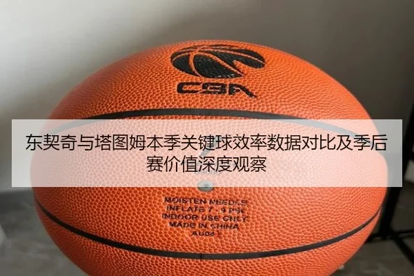 东契奇与塔图姆本季关键球效率数据对比及季后赛价值深度观察